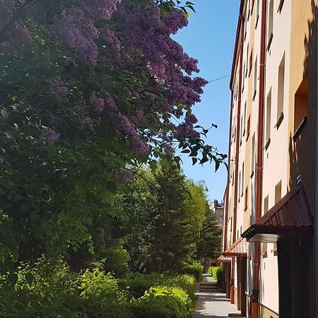 Apartament Centrum Przy Maxie Tarnau Exterior foto