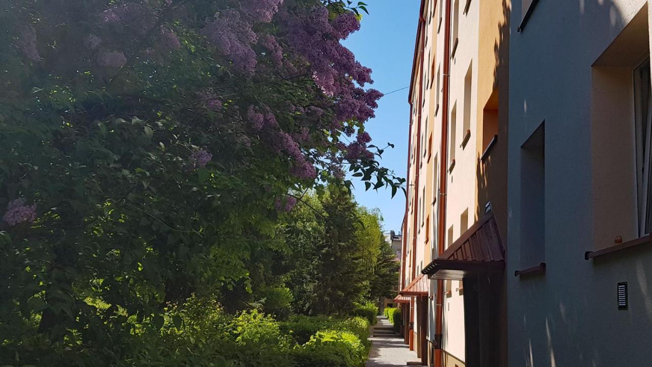 Apartament Centrum Przy Maxie Tarnau Exterior foto